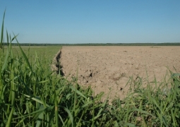 В Алматинской области более 500 тысяч га земель оказались бесхозными 
