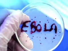 Домен Ebola.com продан за $200 тысяч