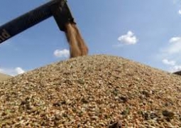 53,5 тыс. тонн дизтоплива дополнительно выделили в Казахстане на сушку зерна