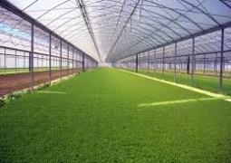 В Жезказгане построят теплицу с овощехранилищем стоимостью 230 млн тенге