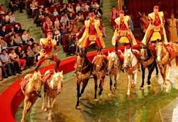 Казахстанские цирки будут сгруппированы в одно объединение