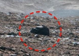 На Марсе нашли двух людей и голову одной гориллы