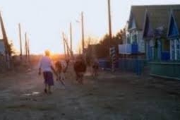 Переселение жителей "сонного поселка" в Акмолинской области планируется в 2015-2016 годах