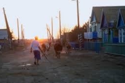 Россияне сняли фильм о "сонном" поселке Калачи Акмолинской области (ВИДЕО)