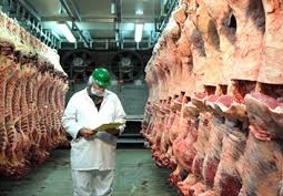 Казахстан был вынужден прекратить поставки говядины в Россию из-за падения рубля