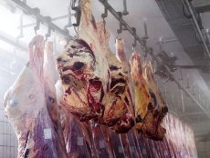 Казахстан в 2014 году увеличил в 14 раз экспорт мяса говядины