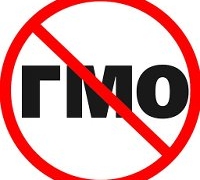 Правительство РФ одобрило законопроект о запрете ГМО