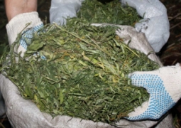 В Астане у пассажира автобуса изъяли почти 70 кг марихуаны