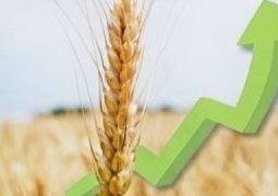 В Казахстане за пять лет удвоился валовый объем сельхозпродукции - МСХ РК