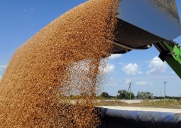 Казахстан экспортировал 4,7 млн тонн зерна - МСХ