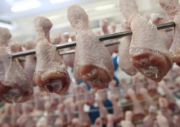 ВНИМАНИЕ! На прилавках Петропавловска выявлена опасная куриная продукция российского производства