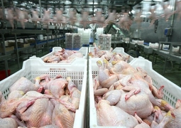 Казахстан временно ограничивает ввоз птицеводческой продукции из Астраханской области РФ