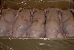 Половина продаваемого в Астане мяса птицы заражено сальмонеллой, - исследование 