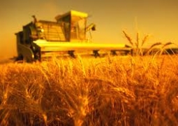 ЕБРР разрешит казахстанским фермерам использовать для залога будущий урожай
