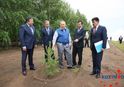 Нурсултан Назарбаев поблагодарил всех лесников работающих над "зеленым поясом" Астаны