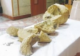 Палеонтолог: «яйца динозавра» из Актобе - обыкновенные камни