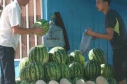 В Алматы на рынках выявлено превышение нитратов в огурцах, клубнике и арбузах
