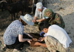 Экспедиция по изучению мора сайги нашла в степи еще один шар