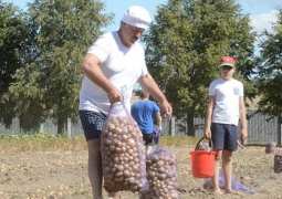 Александр Лукашенко с сыном собрали 70 мешков картофеля в официальной резиденции (ВИДЕО)