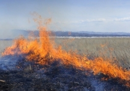 115 гектар степи горит в Актюбинской области 