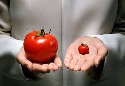 Нурсултан Назарбаев рекомендовал аграриям внедрять ГМО