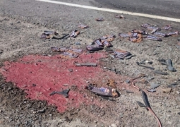 5 человек погибли в ДТП на трассе Алматы-Бишкек (ВИДЕО)
