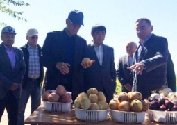 Амандык Баталов посетил ряд сельскохозяйственных объектов