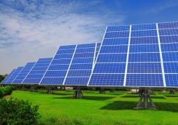 В ЮКО построят солнечную электростанцию, которая покроет 70% потребности всей области