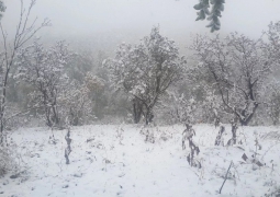 Первый снег выпал в горах Алматы
