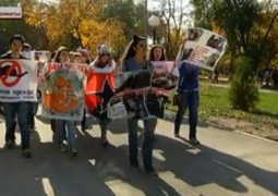 Марш-протест провели защитники животных в Алматы 