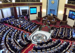 Законопроект о грантовом финансировании НПО одобрен в первом чтении Сената Парламента