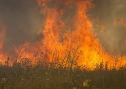 Пожар на горе Ушконыр тушат 2 вертолета, опергруппа ДЧС области и добровольцы