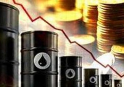 Цена на нефть Brent снизилась до 48,88$ за баррель
