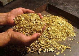Мужчину осудили за незаконную добычу золота и серебра в ВКО