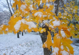 Снег ожидается на большей части Казахстана в четверг