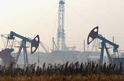 Цена на нефть Brent снизилась до $47,21 за баррель на данных о запасах в США