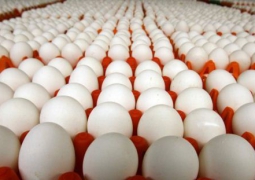 Цену на яйцо диктует сезонность 