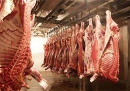 100 миллионов евро инвестируют итальянцы в мясную отрасль Казахстана 