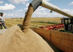 Минсельхоз ожидает рост объемов экспорта зерна в Иран и Китай
