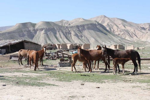 Эсокул – забытый казахский аул в Таджикистане