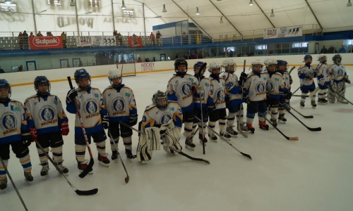 Детский хоккейный турнир «Крылья Весны» - день второй. «Стрижи» заклевали «Медведей»