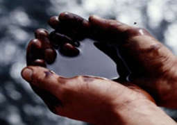 Аналитик МЭА считает заморозку добычи нефти «бессмысленной»