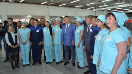 Н.Назарбаев: Сейчас необходимо фокусироваться на развитии малых и средних предприятий