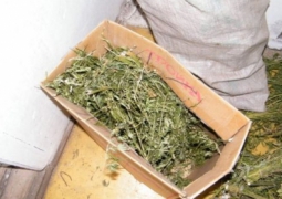 Наркодилеры из Жамбылской области прячут наркотики в мусоре и цветочных клумбах
