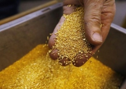 В Казахстане выявлен подпольный цех по переработке золотосодержащей руды