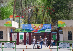 350 миллионов тенге получит зоопарк Алматы в 2016 году 