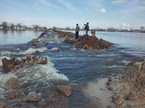 Паводки в СКО: подтоплены 37 домов, погиб домашний скот