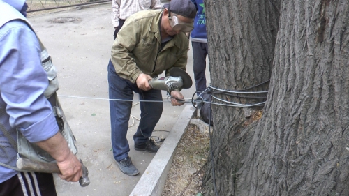 В Алматы сносят незаконные шлагбаумы во дворах жилых домов