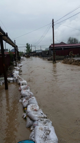 В Алматы разлившаяся река Каргалинка затопила посёлок Алгабас