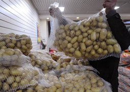 Казахстан ввел запрет на ввоз кыргызского картофеля 